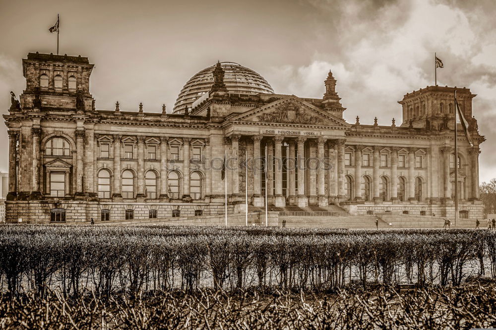 Reichstag in the puddle