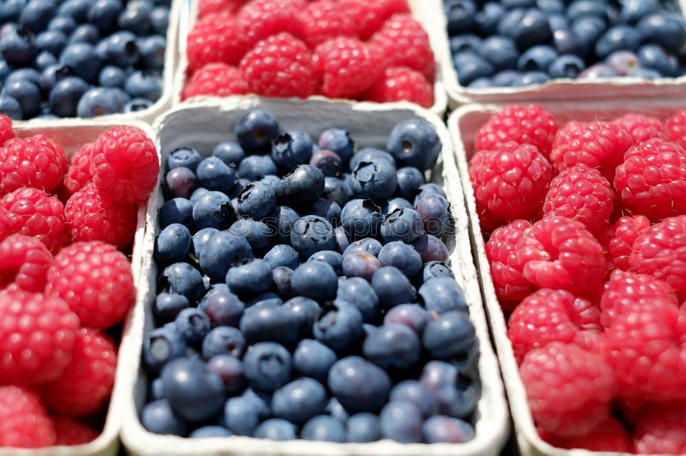 Similar – Image, Stock Photo berry collection Food