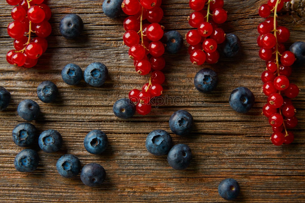 Similar – Image, Stock Photo Various berries in painted jam jar