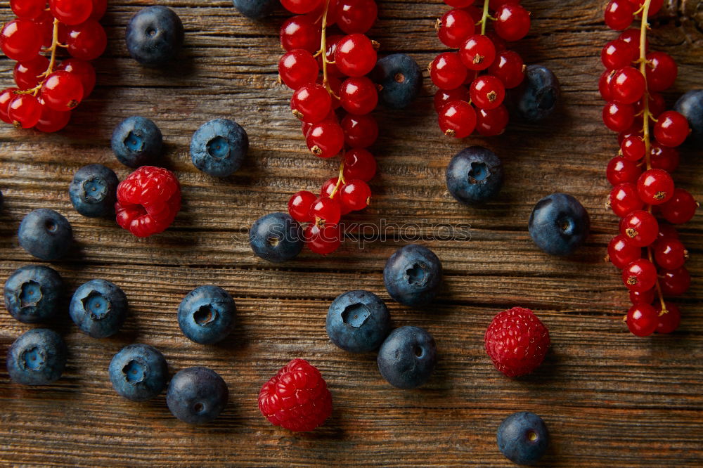 Similar – Image, Stock Photo Various berries in painted jam jar