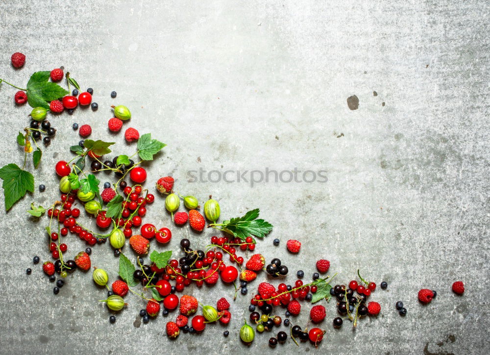 Similar – Image, Stock Photo Flashed rose hips Garden