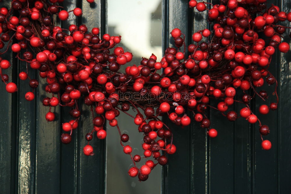 Similar – Image, Stock Photo Christmas background with red decoration