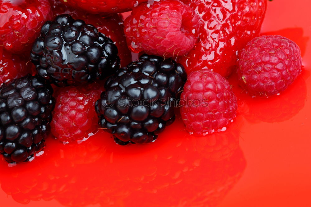 Similar – Image, Stock Photo Bowl Of Fresh Raspberries