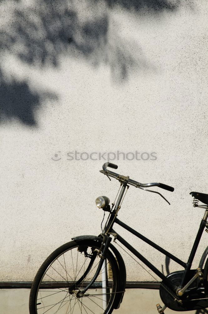 Similar – Image, Stock Photo …achtung gerti … I’m coming.