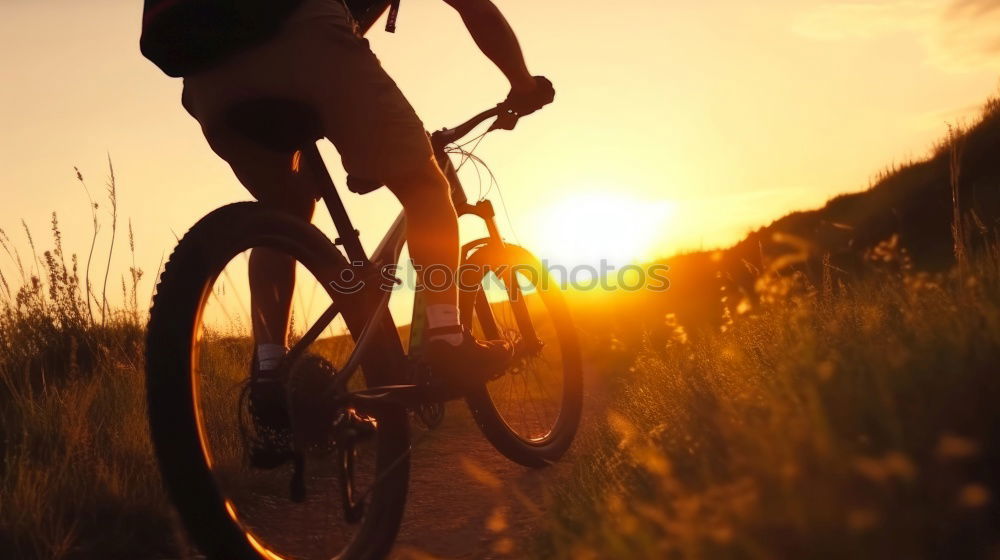 Similar – Image, Stock Photo Bicycle romance Healthy