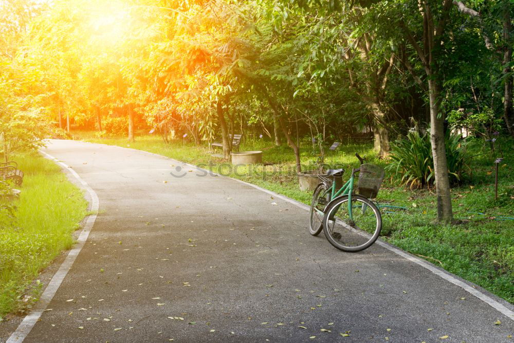 Similar – Image, Stock Photo Bicycle romance Healthy