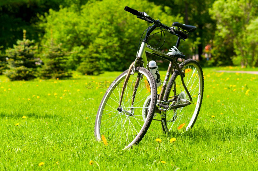 Similar – Image, Stock Photo hit and run Kiddy bike