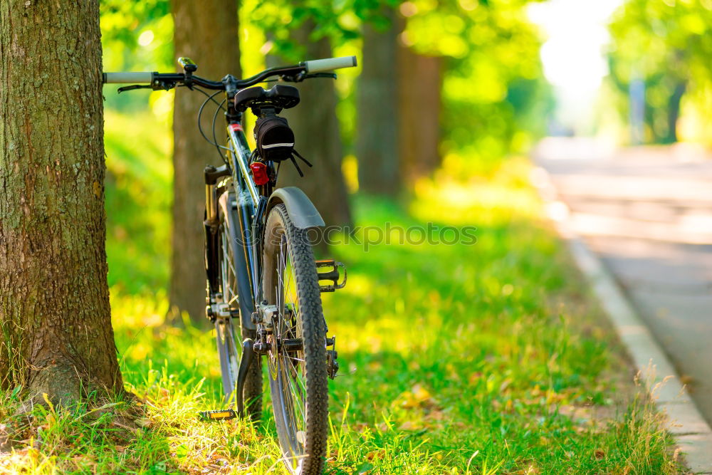 Similar – Image, Stock Photo Bicycle romance Healthy