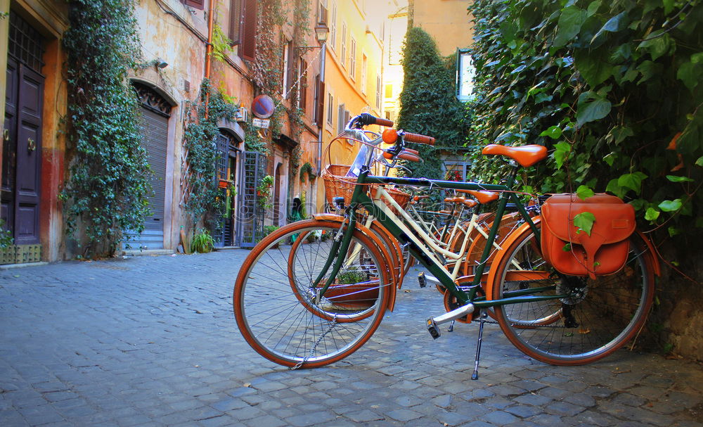 Similar – Image, Stock Photo Destroyed bicycle leaning colored house in Burano, Italy.