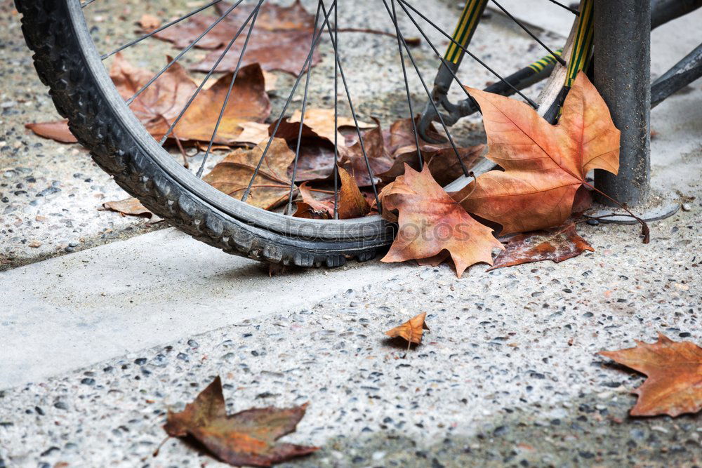 Similar – flat tire Bicycle