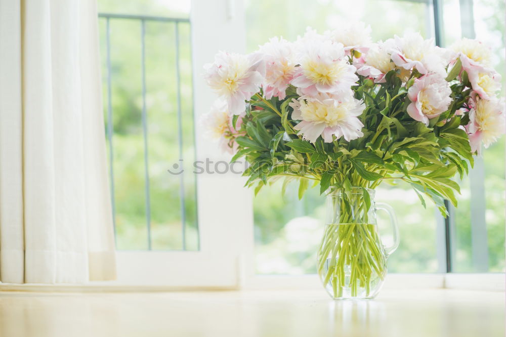 Similar – Terracotta flowerpot with geraniums at the window