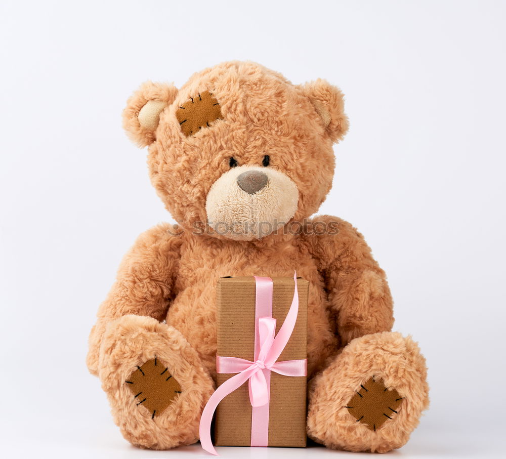 Similar – Image, Stock Photo teddy bear in a knitted multi-colored scarf