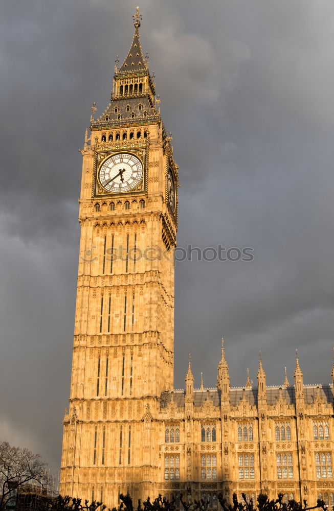 Similar – Image, Stock Photo Poking out of the sky