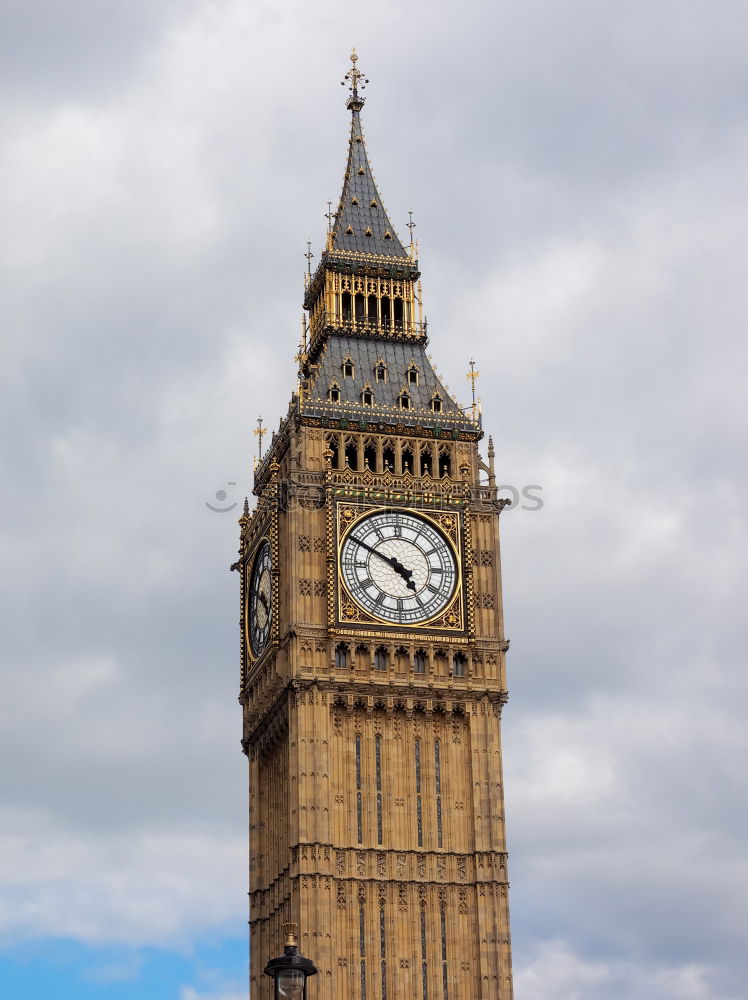 Similar – Seagull at Big Ben