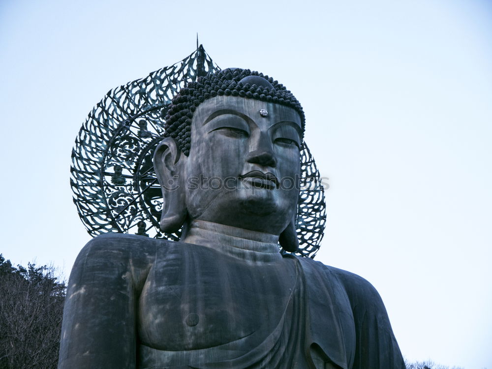 Similar – Image, Stock Photo Tian Tan Buddha Temple, Hong Kong