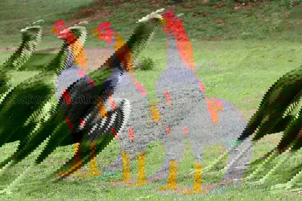 Similar – Foto Bild Irgendwie Angeschlagen