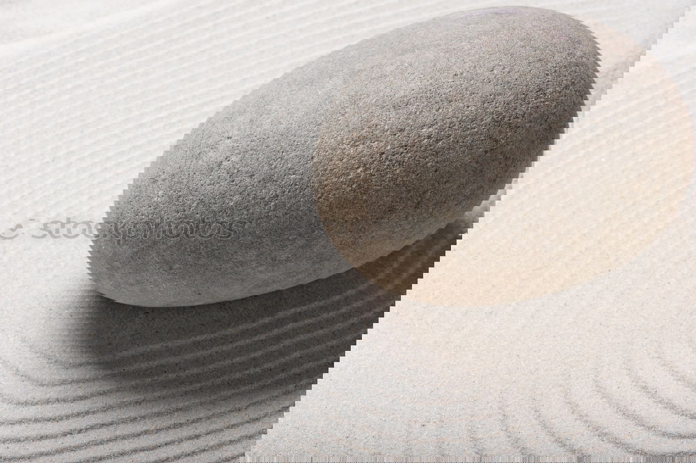 Similar – Image, Stock Photo puristic Organic produce