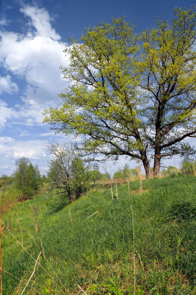 Similar – Frühling Berge u. Gebirge