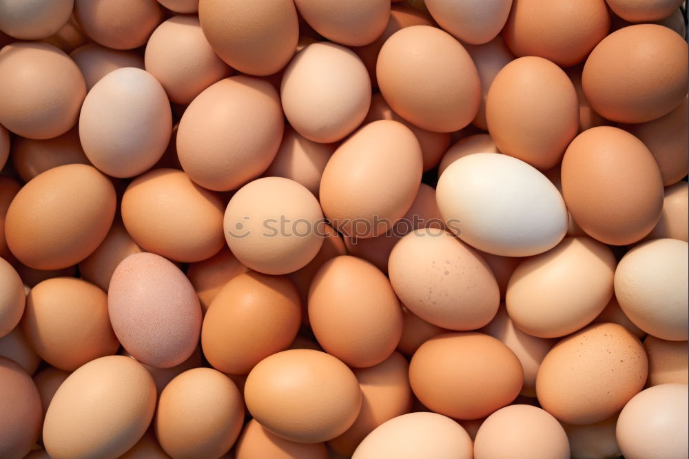 eggs Food Egg Eggshell