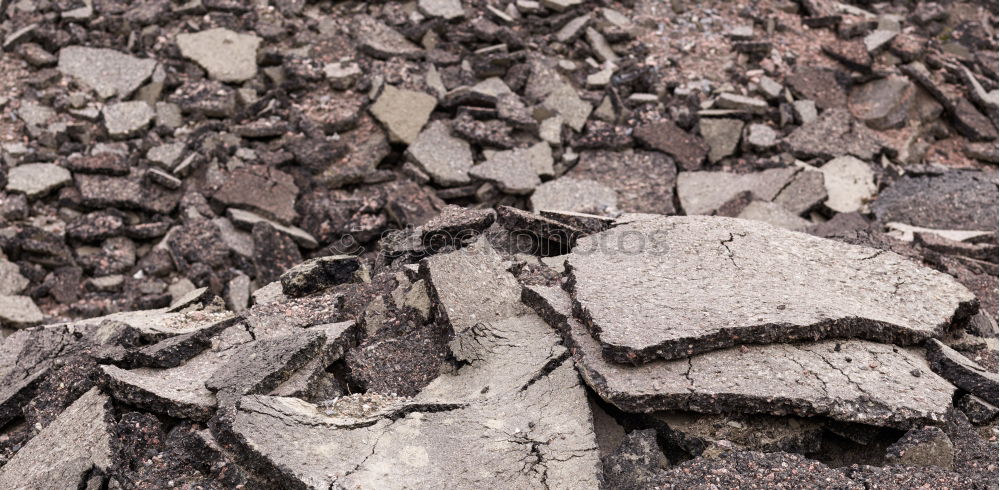 Similar – Foto Bild Tod im Märchenwald Leiche