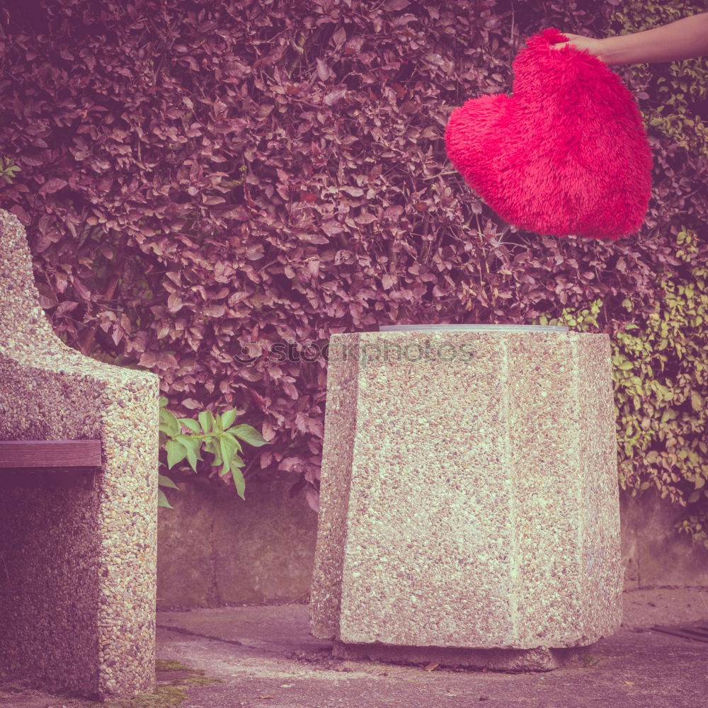 Similar – Image, Stock Photo just married Ivy Deserted