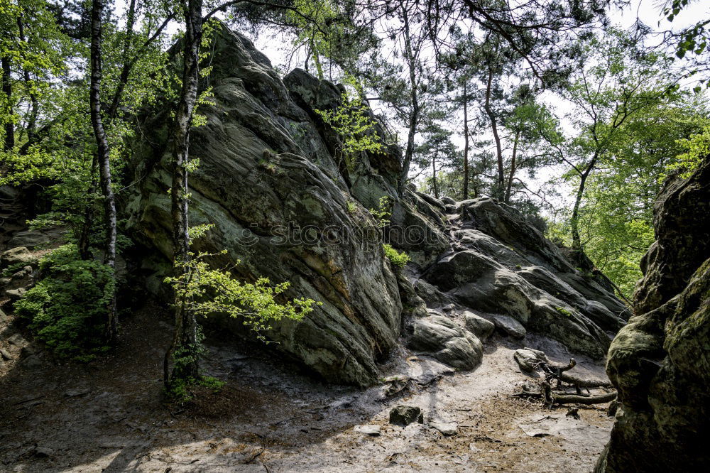 Similar – Foto Bild Käseberg Natur Pflanze