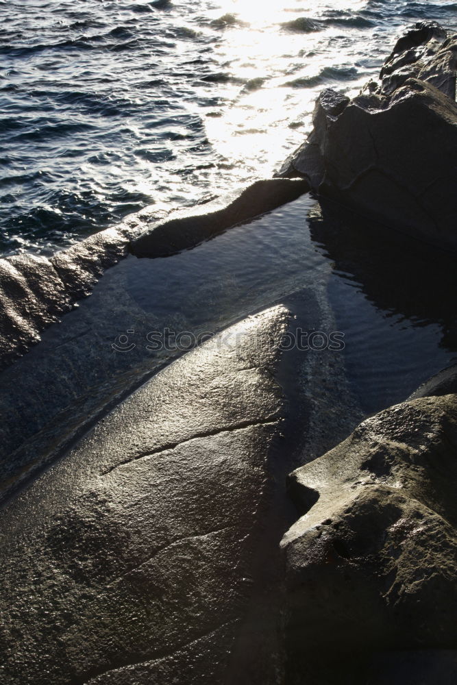 Similar – Image, Stock Photo Pile of dry seaweed at beach, Mallorca.