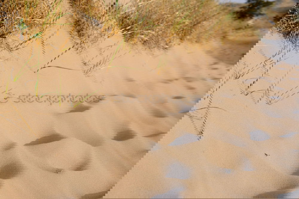 Similar – Image, Stock Photo Trash! Belgian flotsam and jetsam