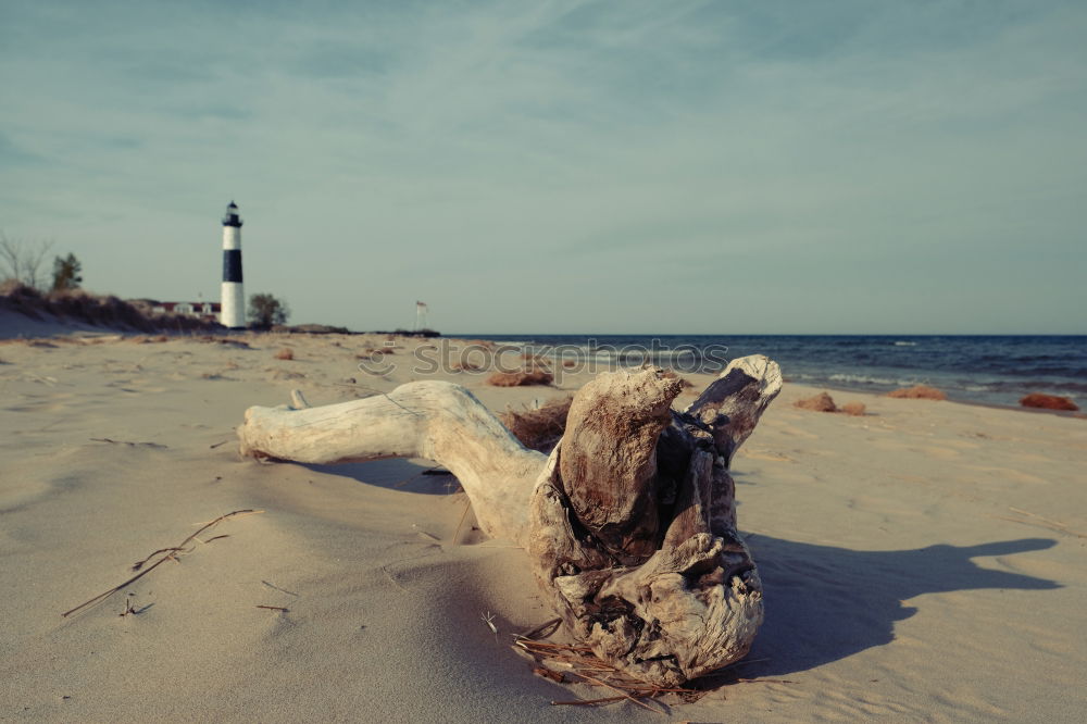 Similar – western beach Environment