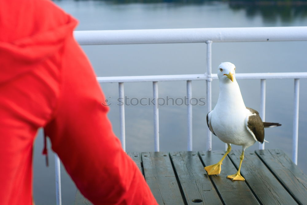 Similar – Image, Stock Photo double holds better