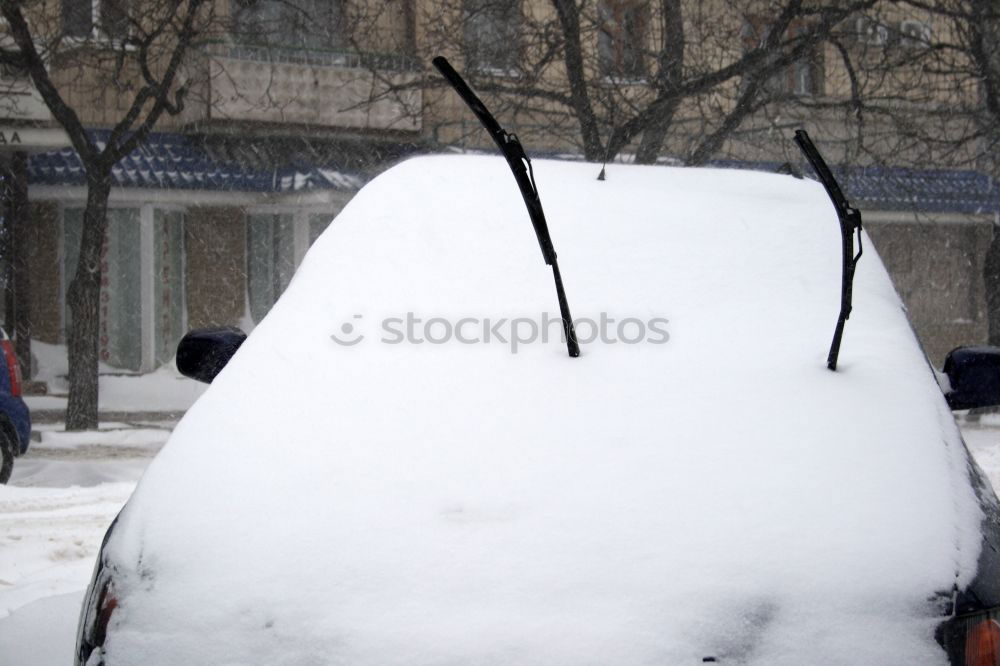 Similar – Image, Stock Photo IChL iSSEDiCh Snow