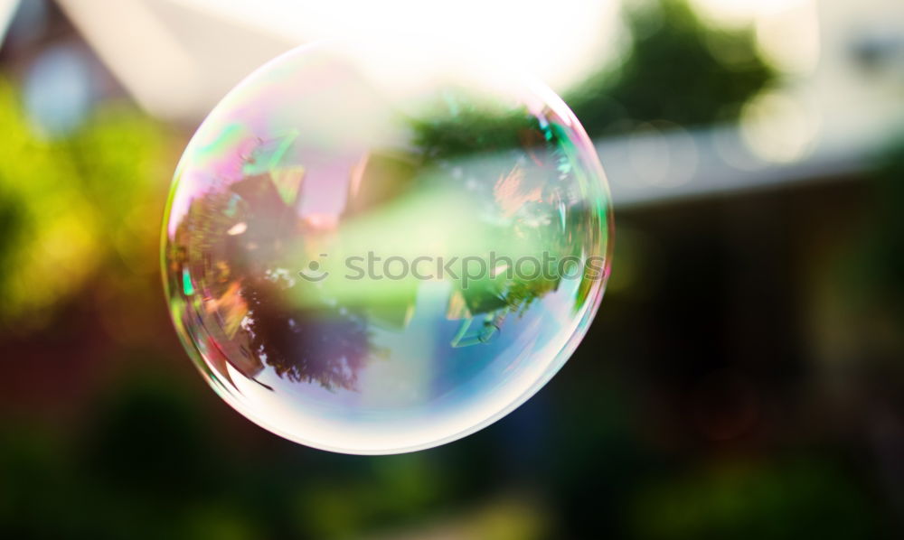 soap bubbles Human being