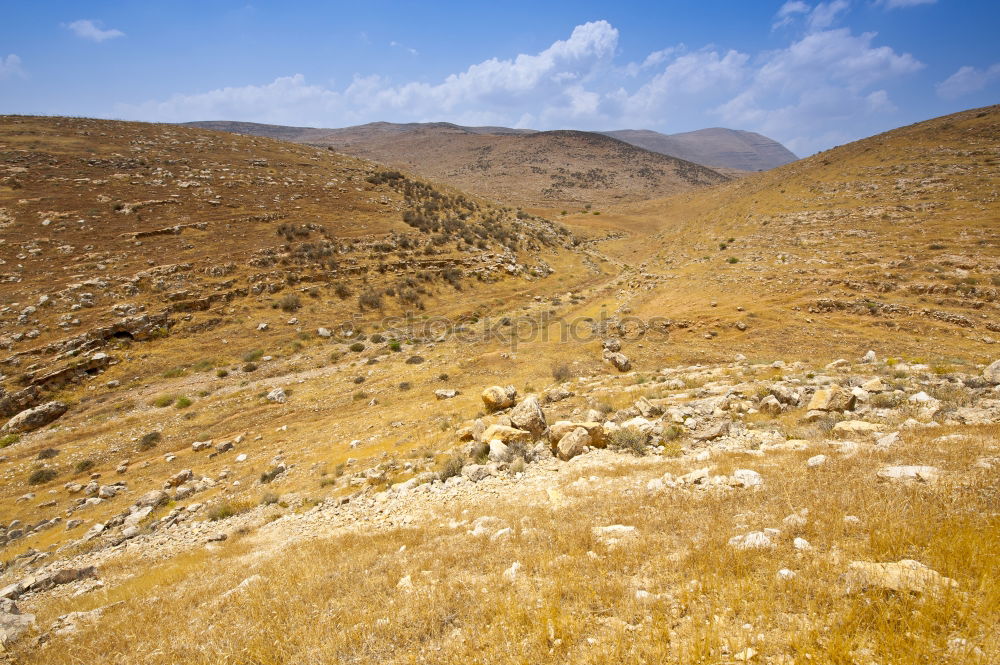 Similar – Image, Stock Photo West bank Trip Environment