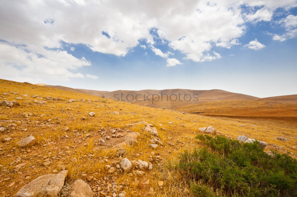 Image, Stock Photo West bank Trip Environment