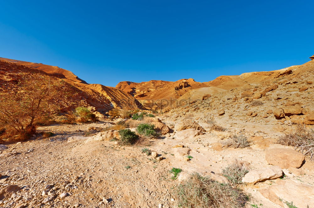 Similar – Image, Stock Photo Desert Landscape in Utah