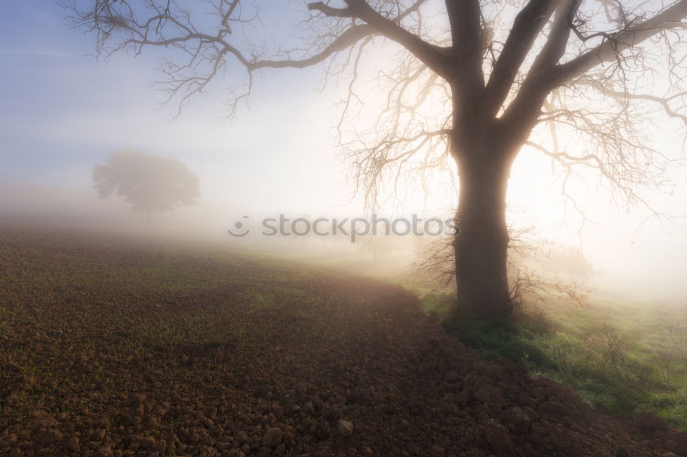 Similar – First autumn snow on alpine mountain misty road