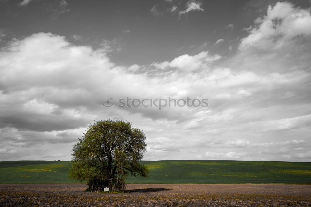 Similar – Image, Stock Photo Wind Mill Well-being Calm