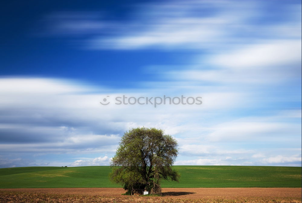 Similar – Image, Stock Photo track marshal Tree Autumn