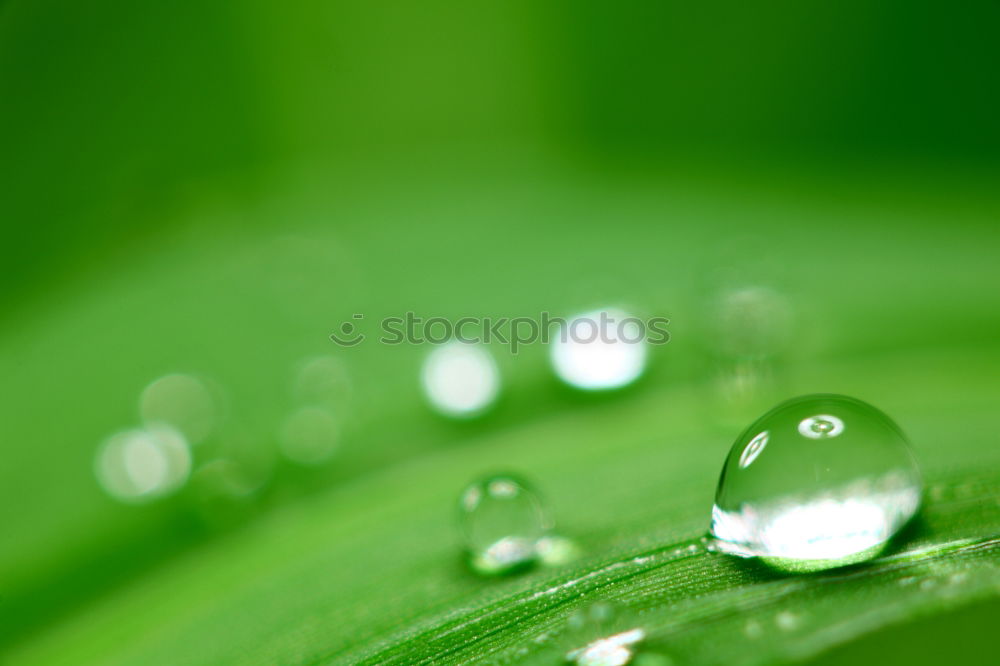 Similar – Wasser schenkt Leben