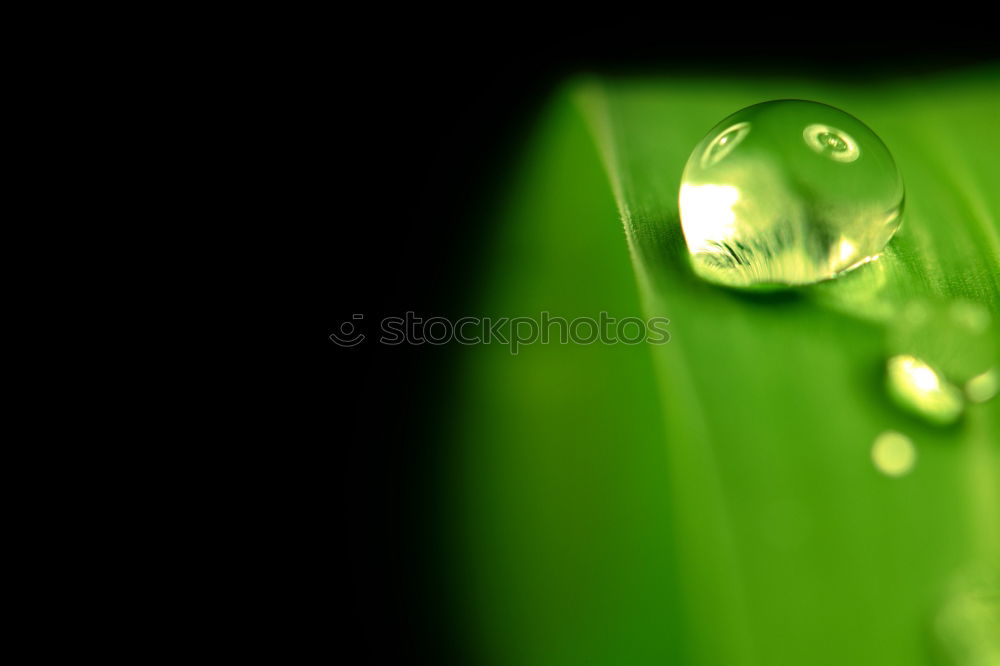 Similar – Image, Stock Photo leak Bathroom