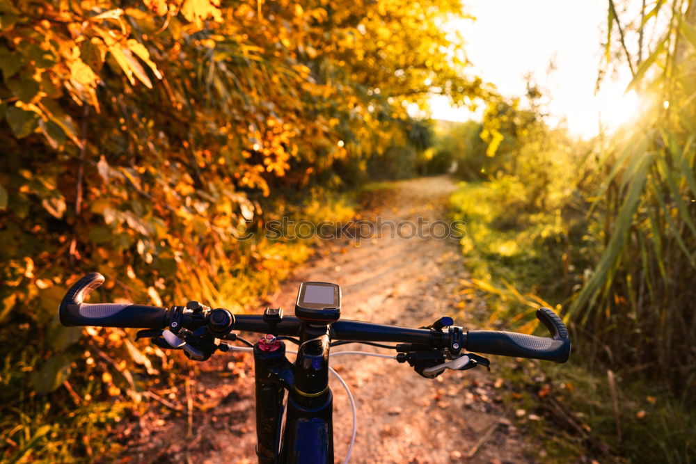 Similar – Image, Stock Photo easy rider II Bicycle