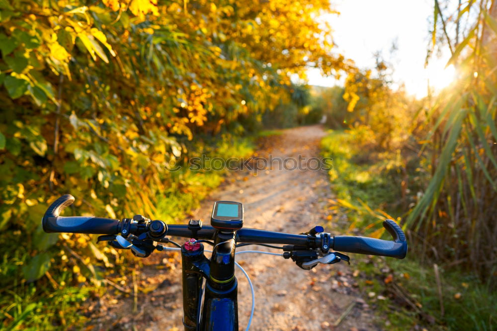 Similar – Waschküche Fahrrad Herbst