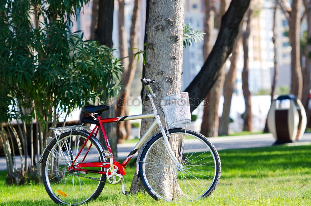 Image, Stock Photo hit and run Kiddy bike