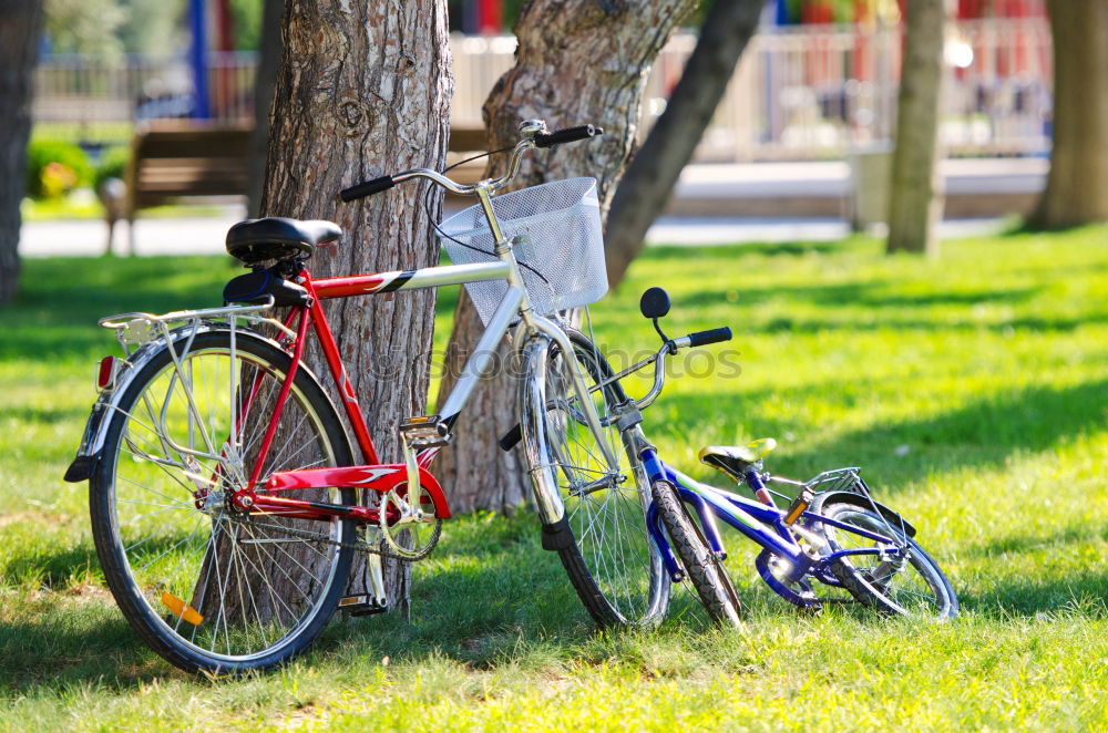 Similar – Image, Stock Photo Bicycle romance Healthy