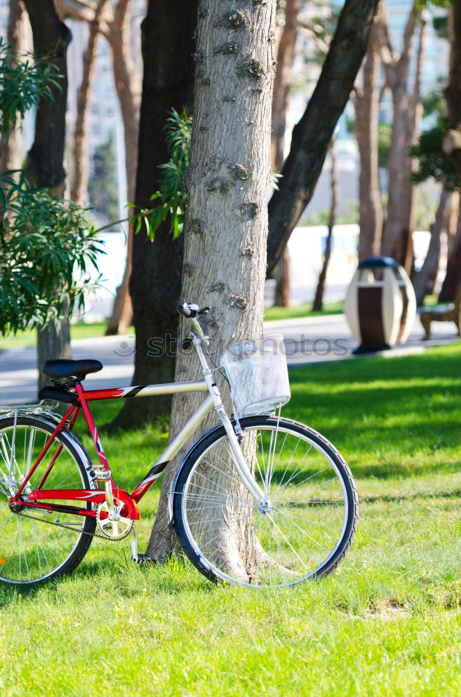 Similar – Image, Stock Photo hit and run Kiddy bike