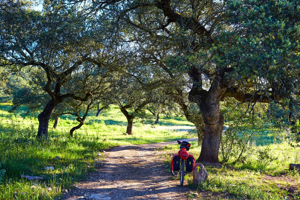 Similar – Retired couple walking their grandson on the path of a forest