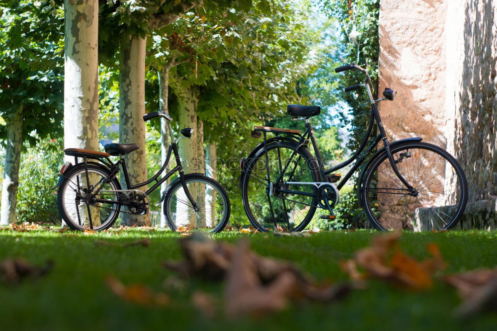 Similar – Image, Stock Photo Bicycle romance Healthy