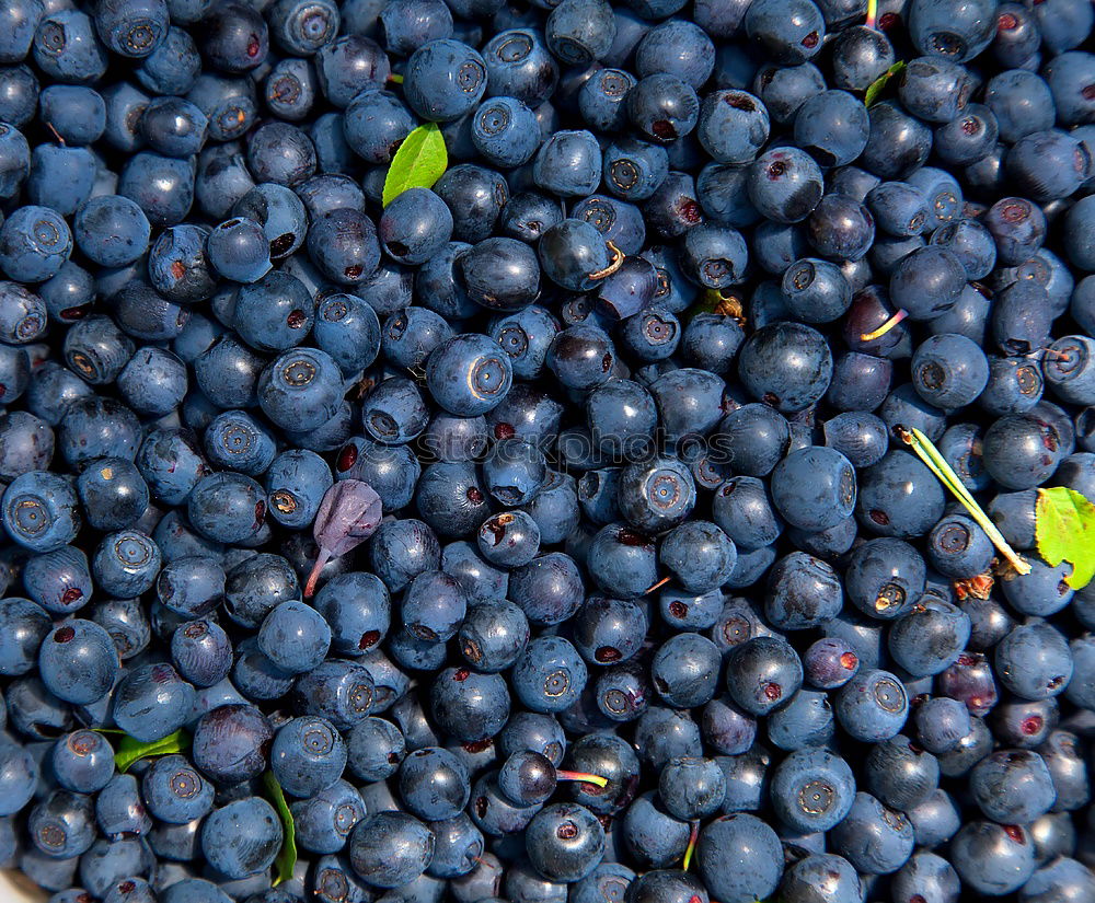 Similar – Foto Bild Weinlese. Lebensmittel