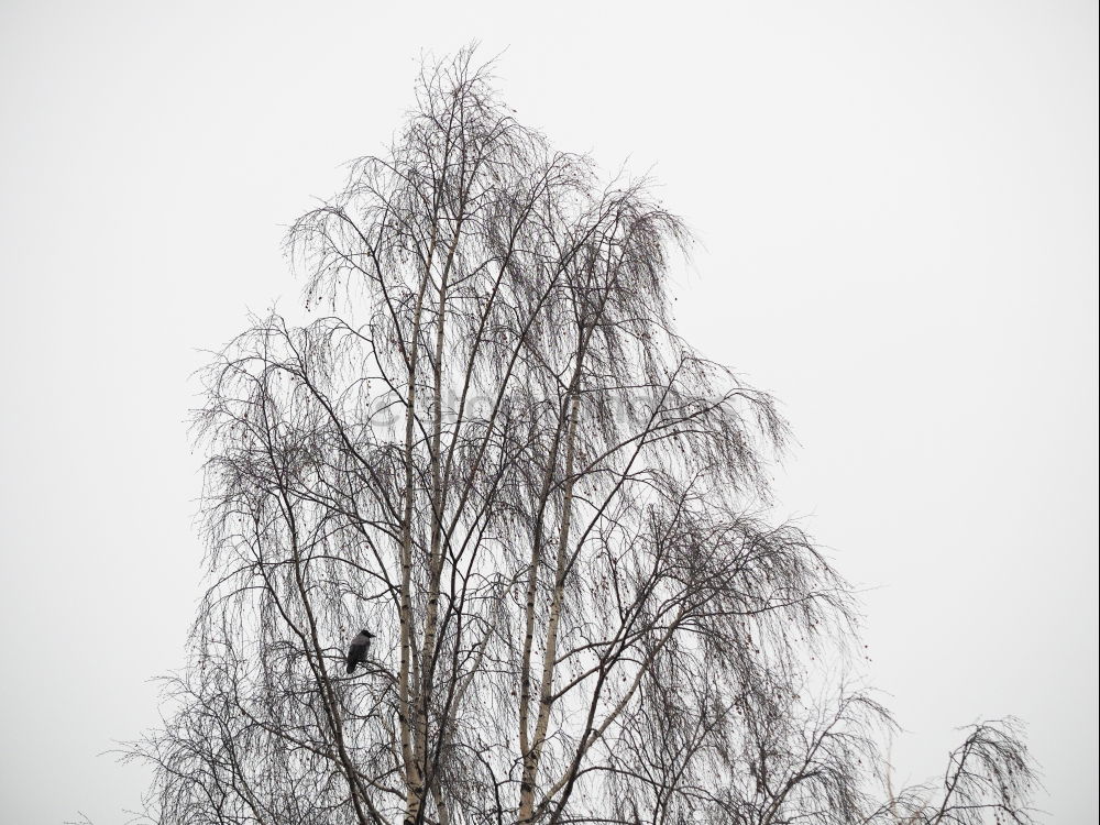 Similar – Licht aus Farbfoto