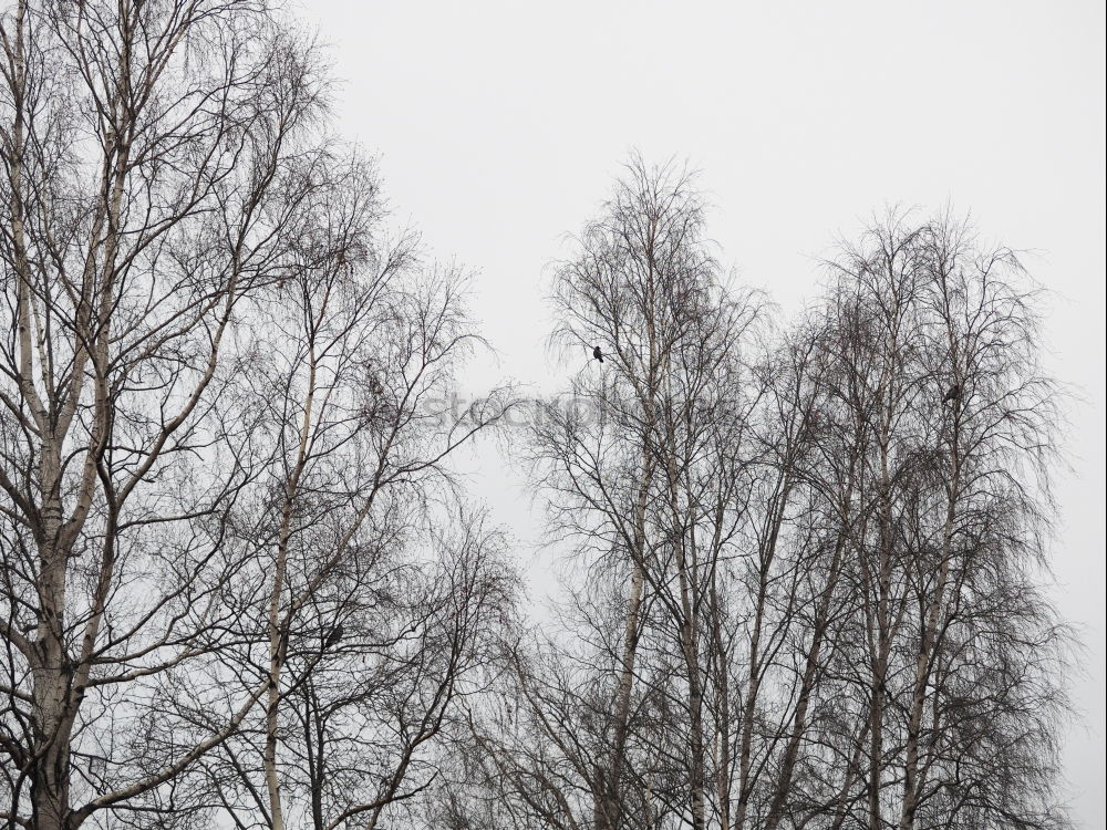 Similar – Image, Stock Photo Gate to the Cold Home